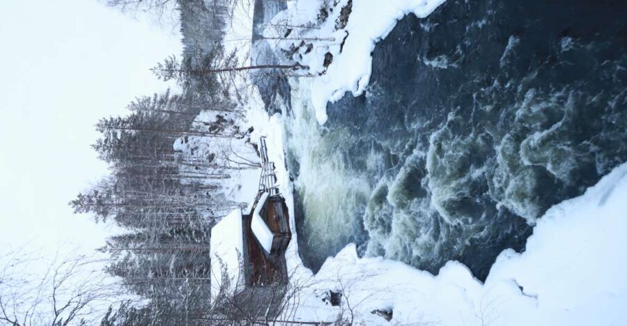 From Ruka: Snowshoeing in Oulanka National Park - What to Expect During the Experience