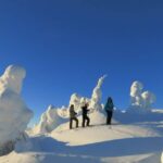From Ruka: Snowshoeing in Riisitunturi National park - Breakdown of the Itinerary