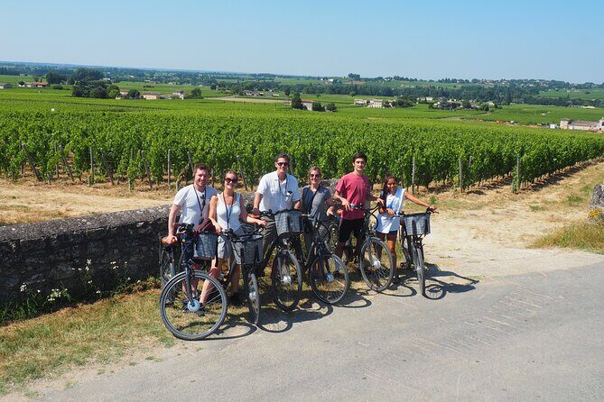 From Saint-Emilion : Half Day Electric bike Wine Tour - Who Would Love This Tour?