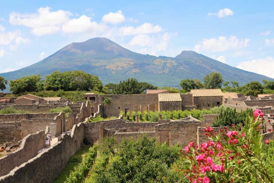 From Salerno_Pompeii Express_bus+ skip the line ticket - In-Depth Look at the Itinerary