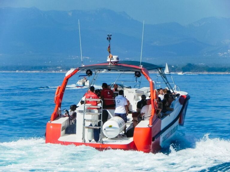 From Salou/Cambrils: Speedboat Tour - Why Youll Love This Tour