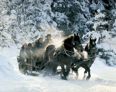 From Salzburg: 8 hour Horse-Drawn incl. 2-hour Carriage Ride - The tour in detail: what makes it special?