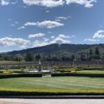 From San Francisco: Private Muir Woods and Napa Wine Tour - The Itinerary — What You Can Expect