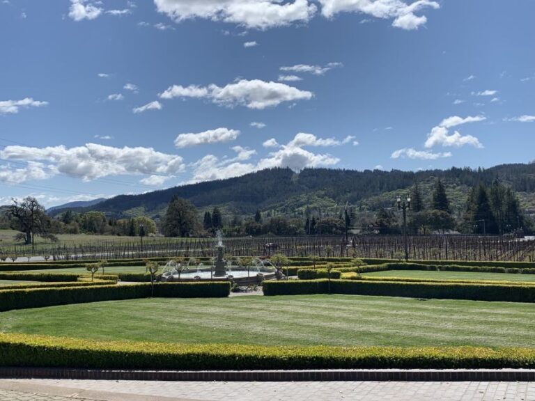 From San Francisco: Private Muir Woods and Napa Wine Tour - The Itinerary — What You Can Expect