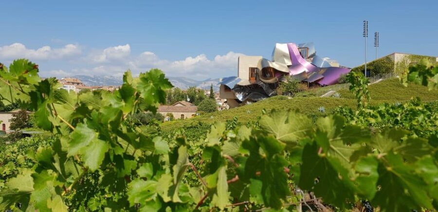 From San Sebastian/Bilbao/Vitoria: La Rioja Wineries Tour - What Could Be Better?