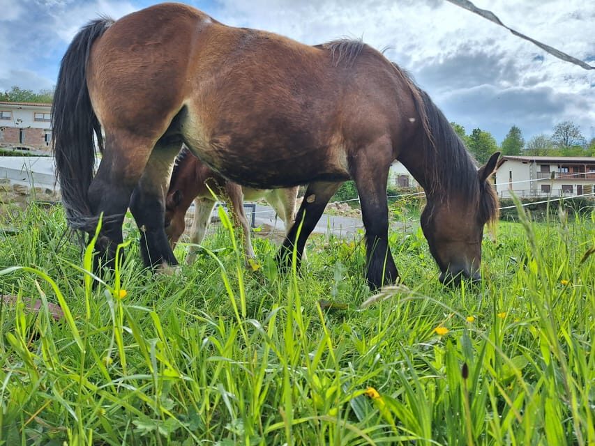 from Santander: Fascinating Saint Sebastian of Garabandal - Frequently Asked Questions