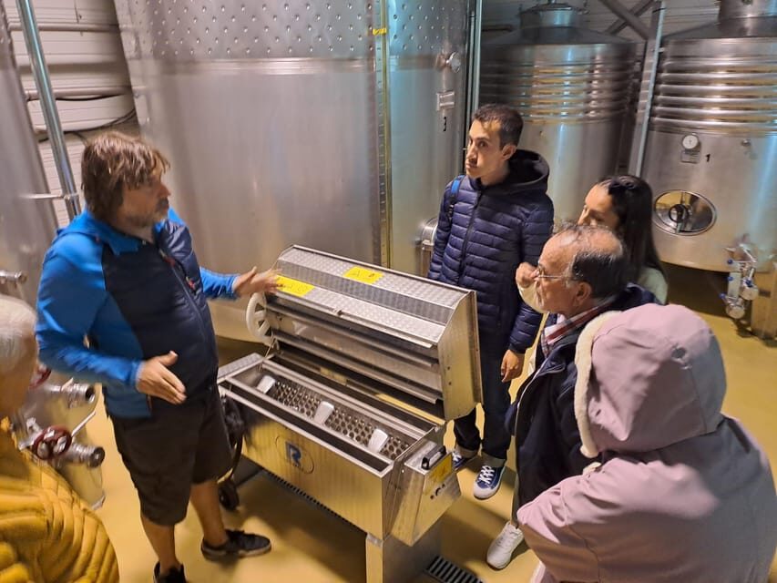 From Santander: Gastronomic Tour - Santoña: The Seafood Capital