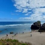 From Santiago: Tour to Cathedral Beach, Asturias, and Pancha - Practical Details and Value