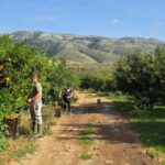 From Saranda To Konispol & Mursi by Vivari Channel - The Practical Side: Transportation, Timing, and Group Size