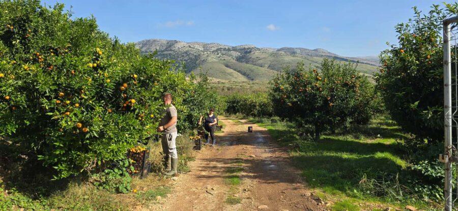 From Saranda To Konispol & Mursi by Vivari Channel - The Practical Side: Transportation, Timing, and Group Size