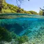 From Sarandë: The Blue Eye and Lekuresi Castle - Is It Worth It? Analyzing the Value