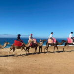From Seville: 2, 3, or 4-Day Morocco Trip with Ferry & Guide - First Impressions of Tangier
