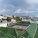 From Seville: Full-Day Tour to Tangier - Who Will Love This Tour?