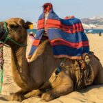 From Seville: Gibraltar and Tangier 2-Day Trip with Hotel - Transportation and Logistics