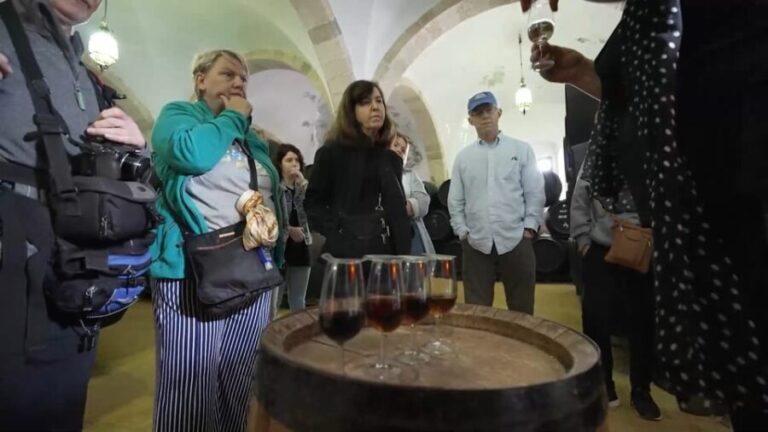 From Seville: Jerez, Cádiz and Andalusian Horses - What Makes This Tour Stand Out