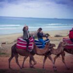 From Seville: Tangier Day Trip with Local Guide and Lunch - The Logistics: Transportation and Guides