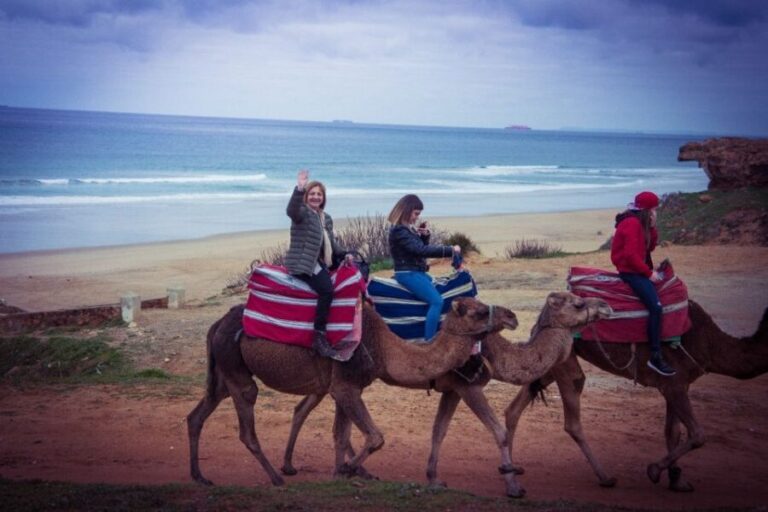 From Seville: Tangier Day Trip with Local Guide and Lunch - The Logistics: Transportation and Guides