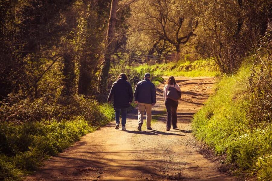 From Seville: White Villages of Huelva Private Full-Day Tour - FAQ