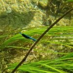 From Sibenik: Private Sibenik and Krka Waterfalls tour - Final Thoughts