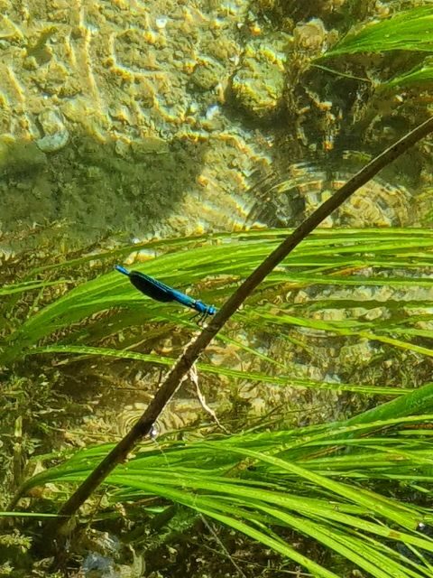 From Sibenik: Private Sibenik and Krka Waterfalls tour - Final Thoughts