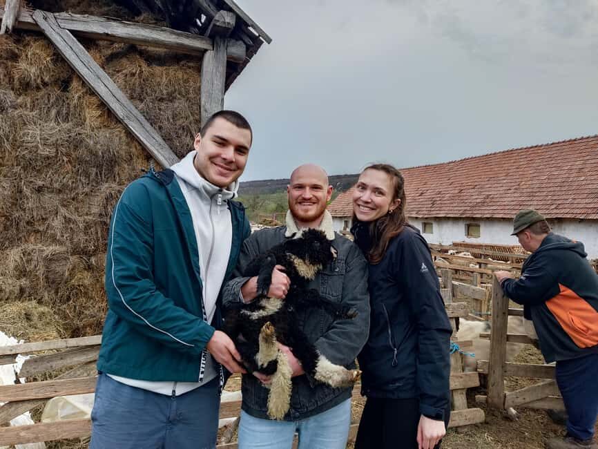 From Sibiu: Villages, Farm Life & Horse Carriage Ride - Final Thoughts