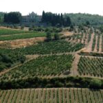 From Siena: Chianti and Castles Tour with Wine Tastings - What Makes This Tour Worth Considering?