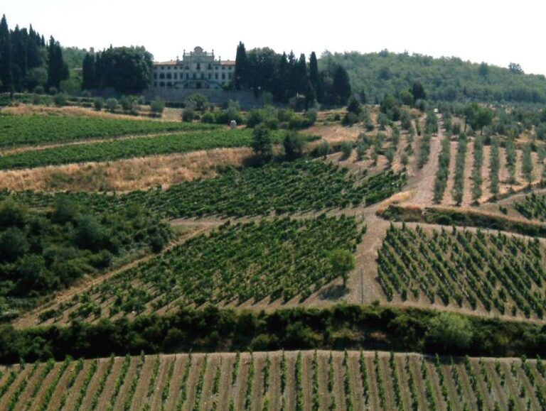 From Siena: Chianti and Castles Tour with Wine Tastings - What Makes This Tour Worth Considering?