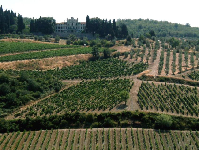 From Siena: Chianti and Castles Tour with Wine Tastings - What Makes This Tour Worth Considering?
