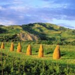 From Sighetu Marmatiei: Maramures and Barsana Monastery Tour - The Pros and Cons