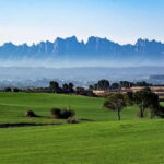 From Sitges: Montserrat, Lunch and Winery with Hotel Pick Up - What to Expect on the Day