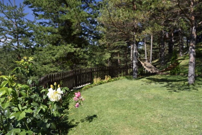 From Skopje: Berovo Full Day Tour and Hike - Exploring the Details of the Tour