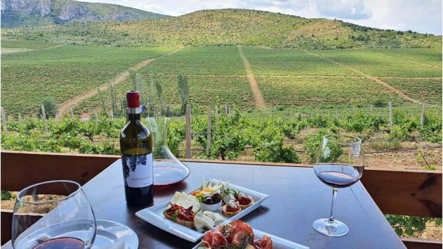 From Skopje: Lazar & Chateau Sopot Wineries Visit & Tastings - What to Keep in Mind