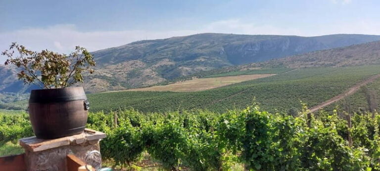 From Skopje: Private Tour of Sopot Winery with Lunch - The Downsides: What Critics Say
