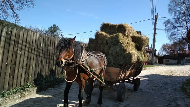 From Sofia: Koprivshtitsa, Starosel, and Wine Tasting Tour - Is This Tour Worth It? A Balanced View