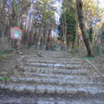 From Sofia: One-Day Tour of Vitosha Mountain - Who Will Love This Tour?