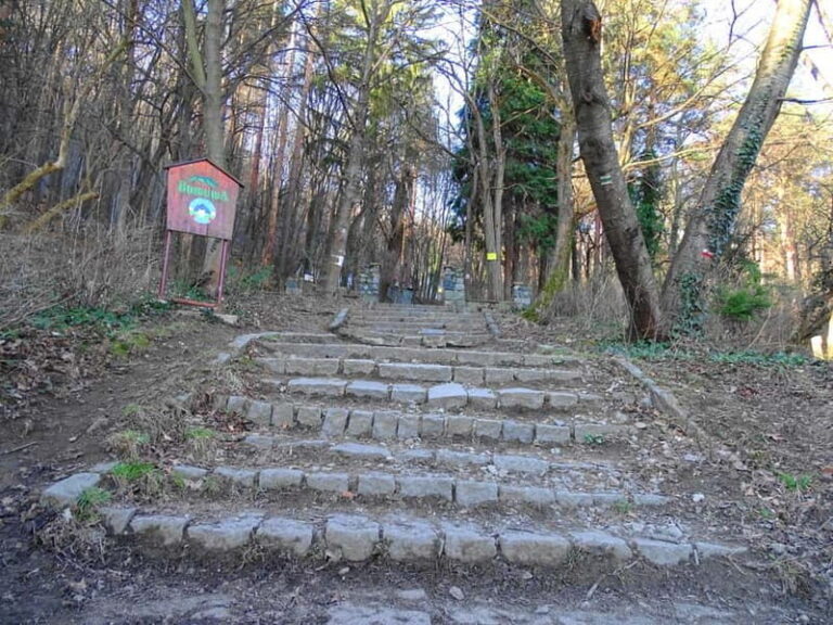 From Sofia: One-Day Tour of Vitosha Mountain - Who Will Love This Tour?