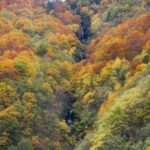 From Sofia: Rila Monastery & Boyana Church Day Tour - Practical Details and Tips