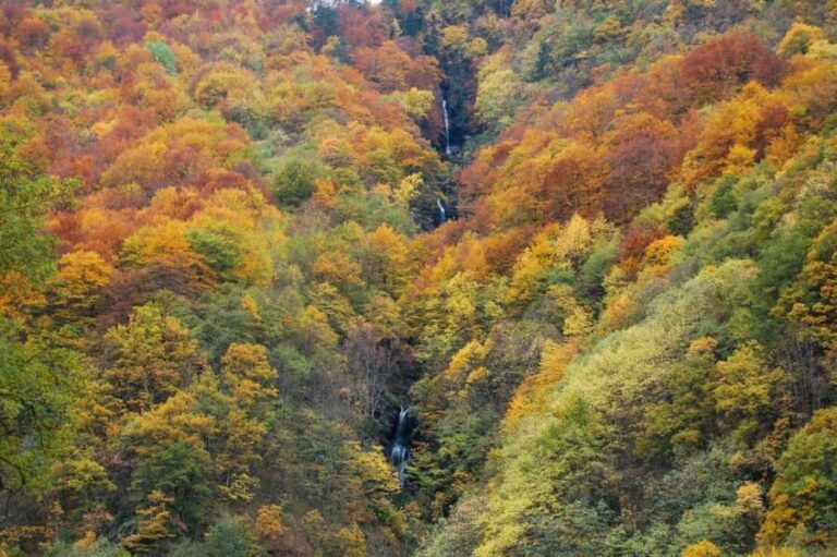 From Sofia: Rila Monastery & Boyana Church Day Tour - Practical Details and Tips