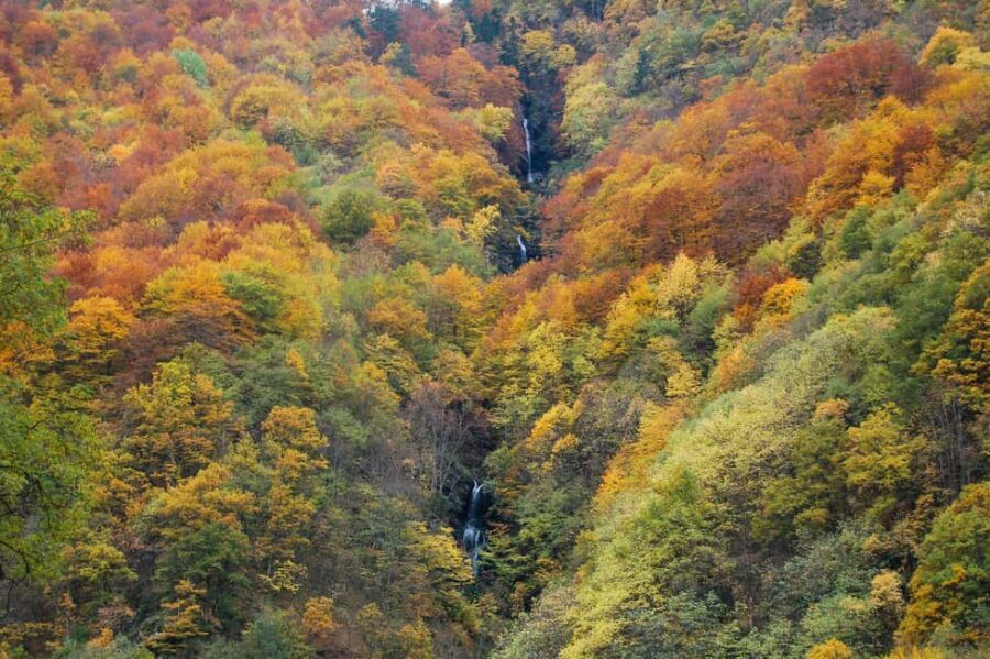 From Sofia: Rila Monastery & Boyana Church Day Tour - Practical Details and Tips