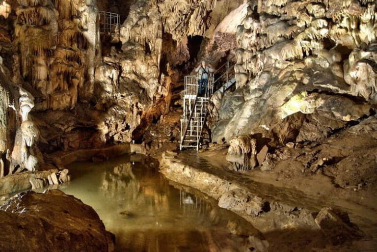 From Sofia: Saeva Dupka and Ledenika Caves Tour - Who Should Consider This Tour?