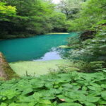 From Sofia: Zlatna Panega River Hike with Springs Visit - What’s Included and What’s Not