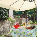 From Sorrento to Meta: cook with a local family and enjoy the garden!! - Key Points