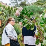 From South Tenerife: La Gomera Island Day Trip with Lunch - Exploring Garajonay National Park