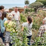 From South Tenerife: VIP Grand Tour Tenerife island - Who Is This Tour Best For?