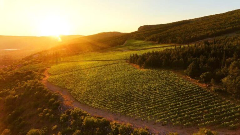 From Split: Blue and Red Lakes and Winery Grabovac Tour - Who should consider this tour?