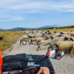 From Split: Full-Day Horse Riding & Quad Biking with Lunch - An In-Depth Look at the Tour Experience