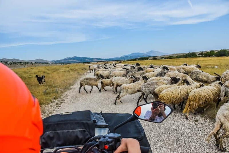 From Split: Full-Day Horse Riding & Quad Biking with Lunch - An In-Depth Look at the Tour Experience