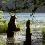 From Split or Trogir: Plitvice Lakes Private Tour - The Journey to Plitvice Lakes: What to Expect