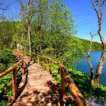 From Split or Trogir: Plitvice Lakes Trip with Entry Ticket - Frequently Asked Questions