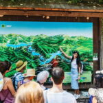 From Split: Plitvice Lakes Guided Tour with Entry Tickets - What Makes This Tour Stand Out?